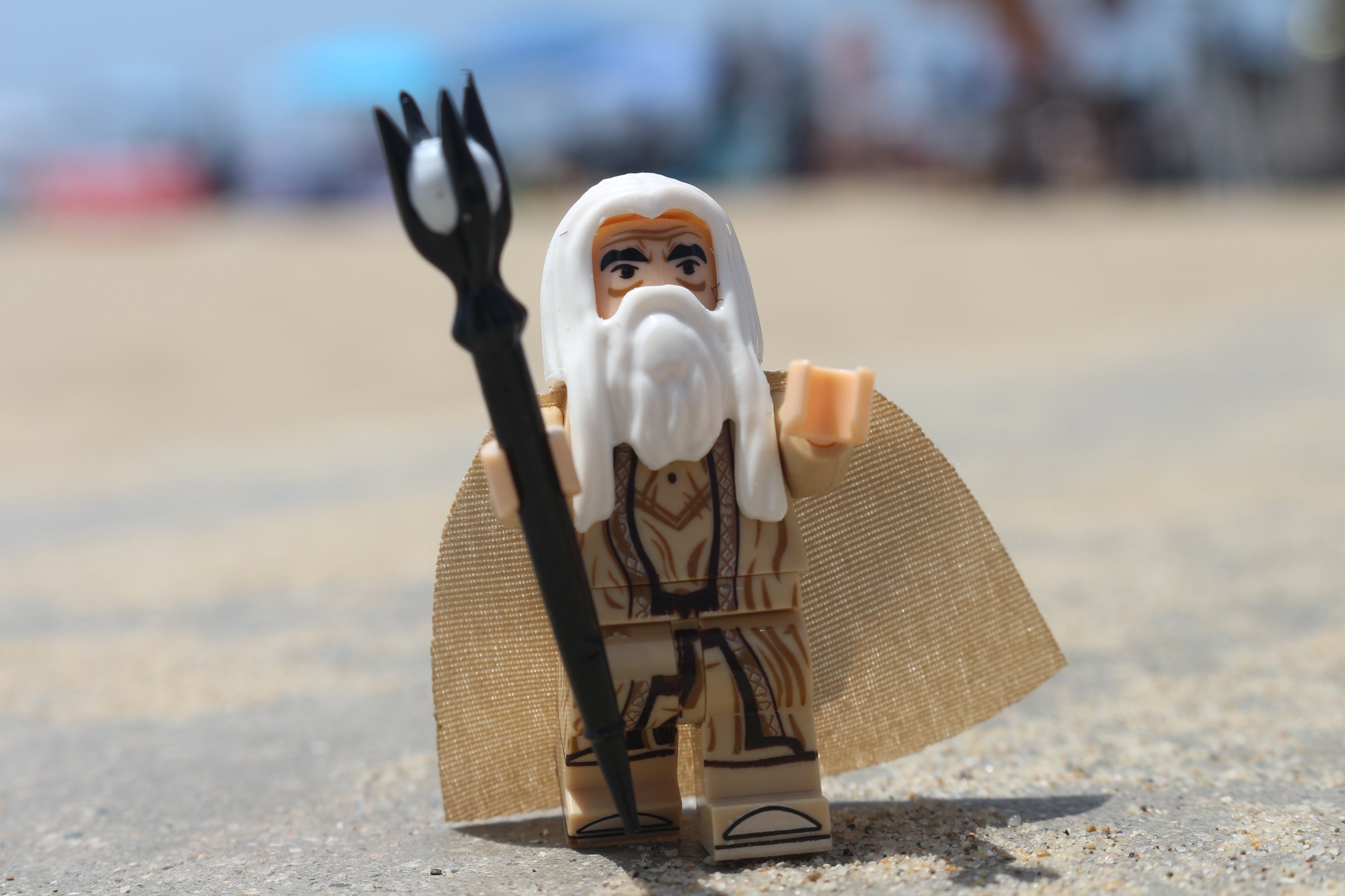 Ivory Sage Wizard of the North