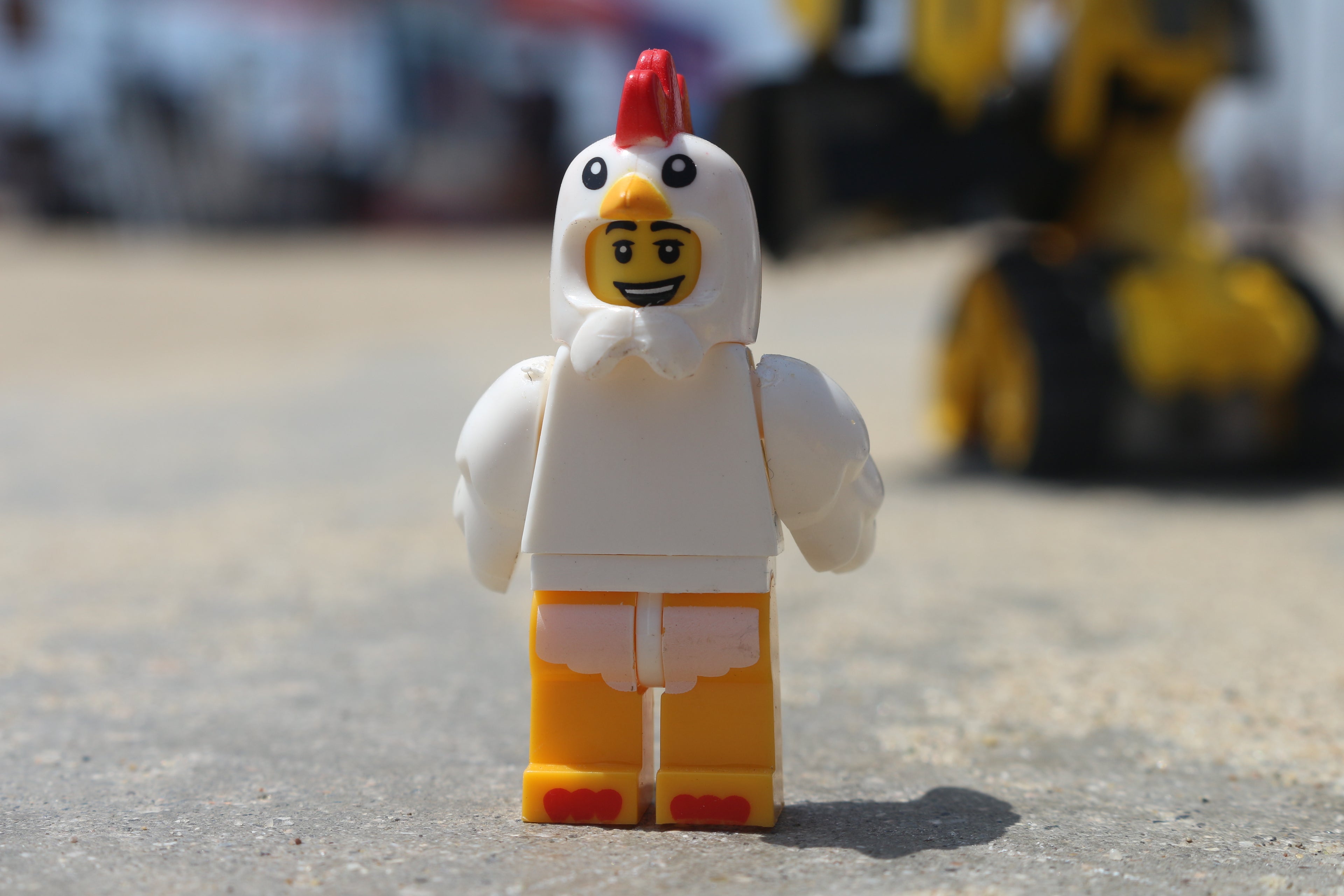 Dont be a Chicken!